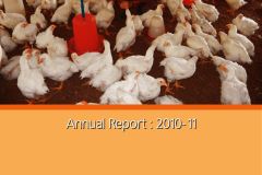 1_Annual-Report-2010-11-pdf
