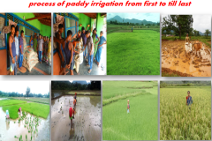 irrigation4