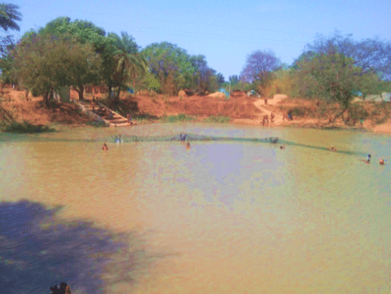 Pisciculture Fish Farming 2