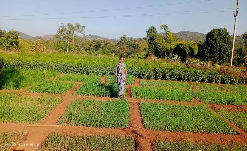 Solar based Lift Irrigation 3