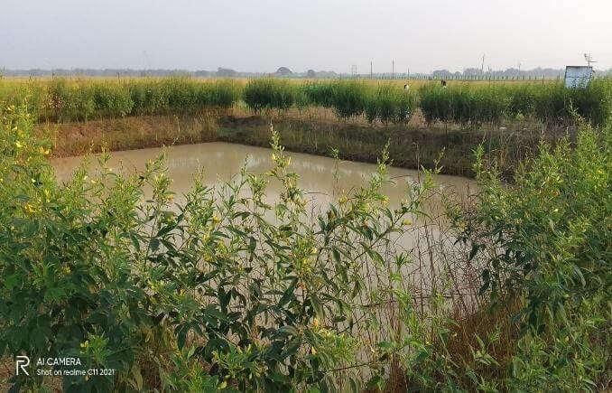 Water Harvesting through Farm Pond Case Study 6