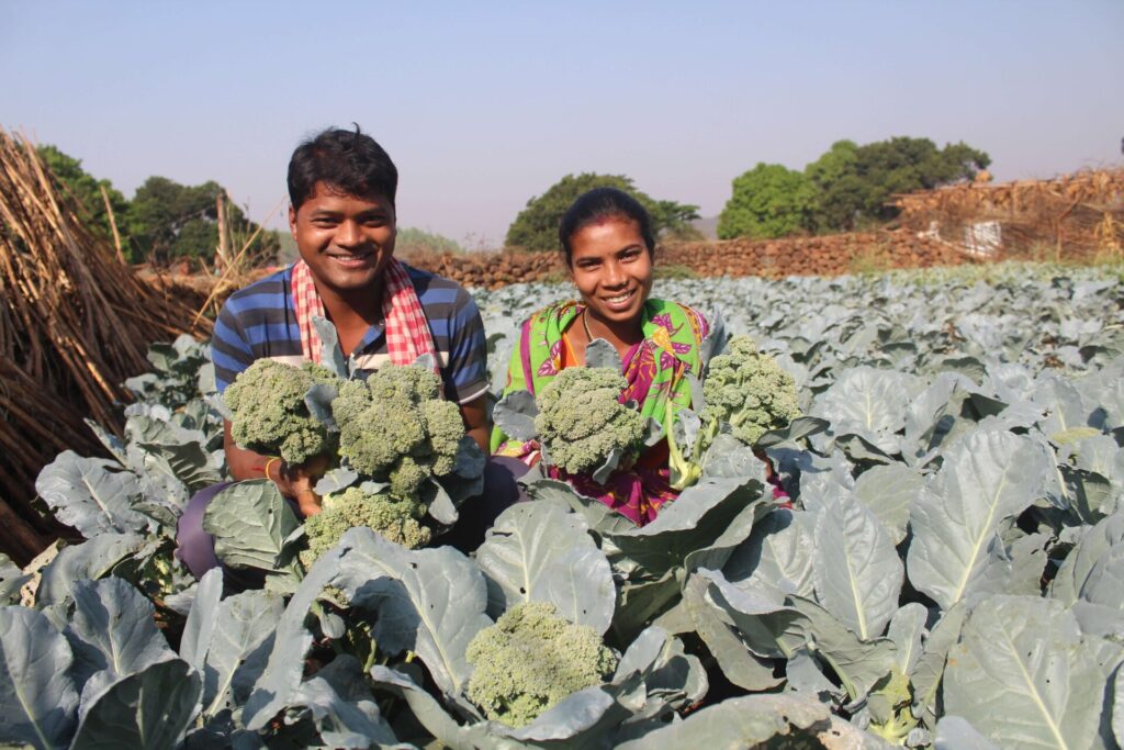 Broccoli of Chaitanya Majhi Badaderla