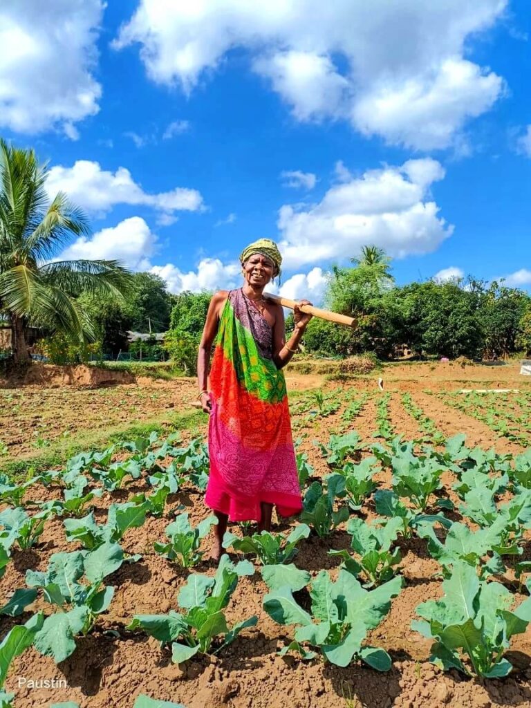 Cash crop cultivation