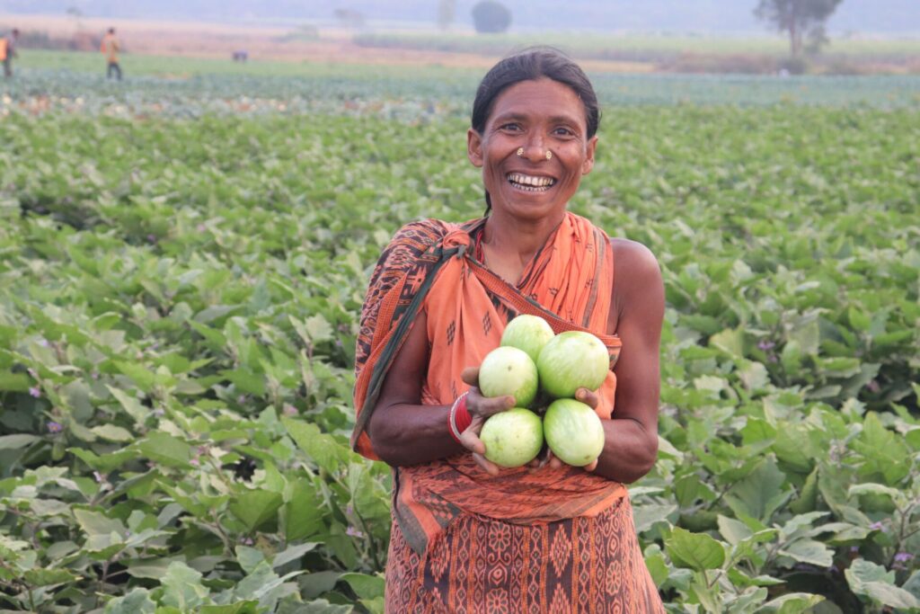 Veg cultivation