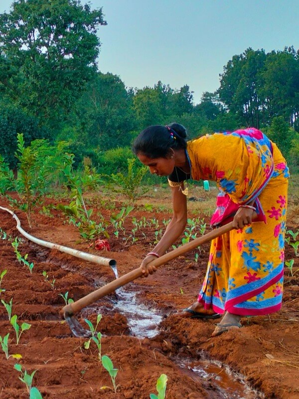 home thematic area inrm and water security